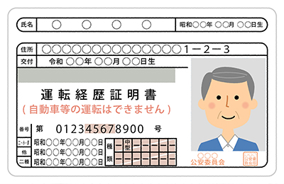 jp_driving_history_01.jpeg